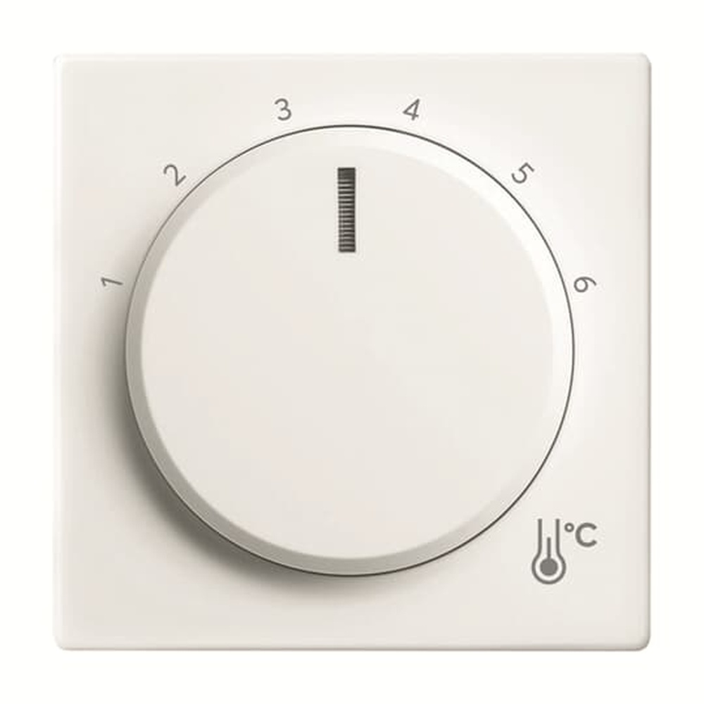 Busch-Jaeger Zentralscheibe Temperatur 1794 R-84 Nr. 2CKA001710A4201