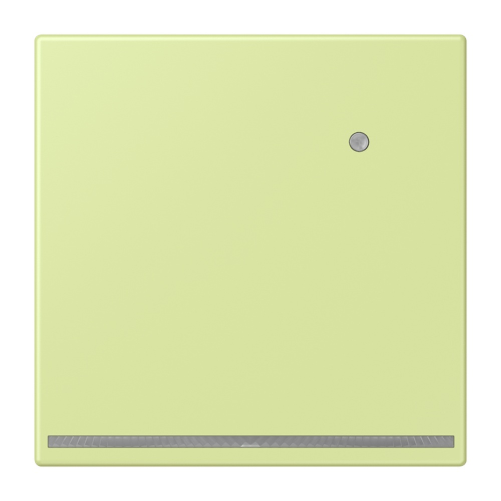 Jung LED Orientierungslicht LC1539-OLNW222