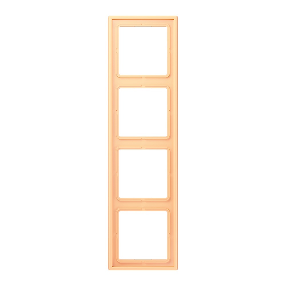 Jung Rahmen LC984258