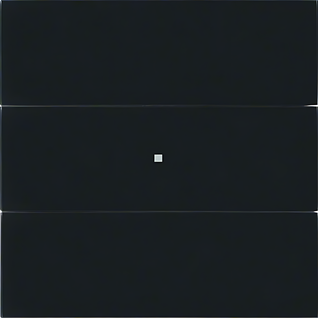 Berker Tastsensor 75163092 Berker Tastsensor 75163092