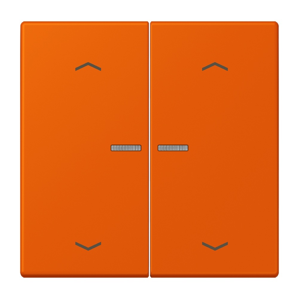 Jung JUNG HOME Taster BTLC17102P260