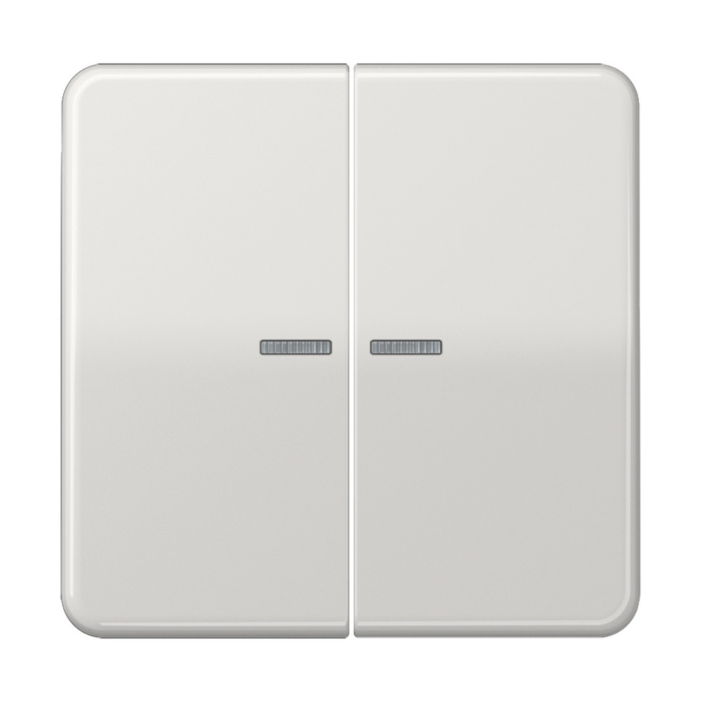 Jung Wippe CD 595 KO5 LG