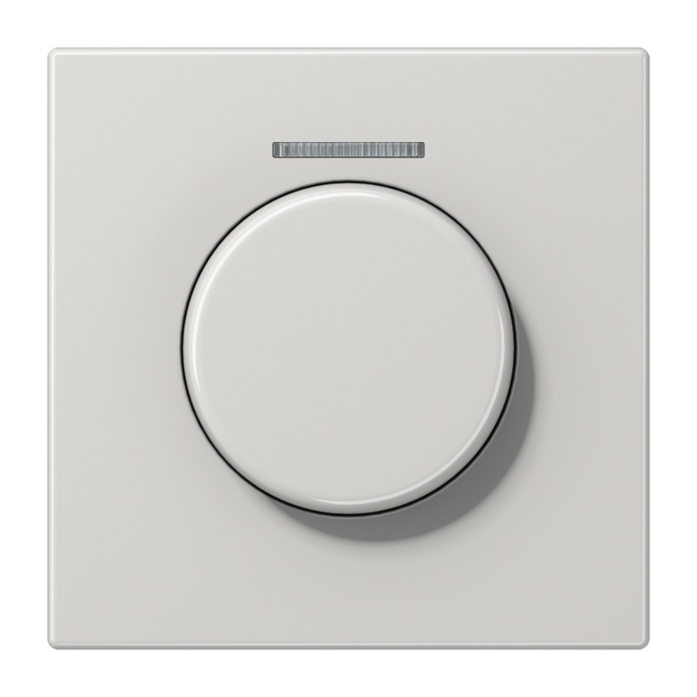 Jung Abdeckung Lichtleiter LS 1940 KO5 LG