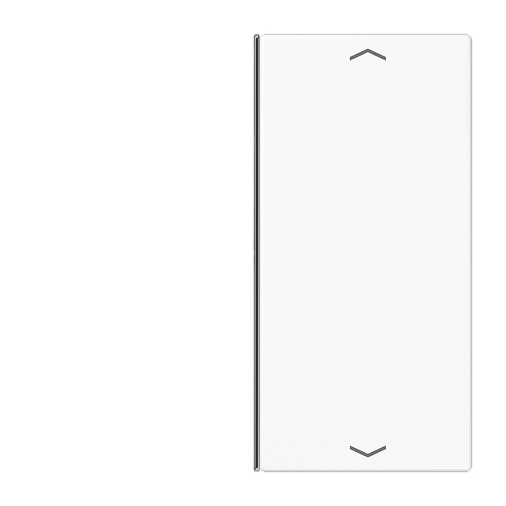 Jung Taste 2fach LS 402 TSAP WW Jung Taste 2fach LS 402 TSAP WW