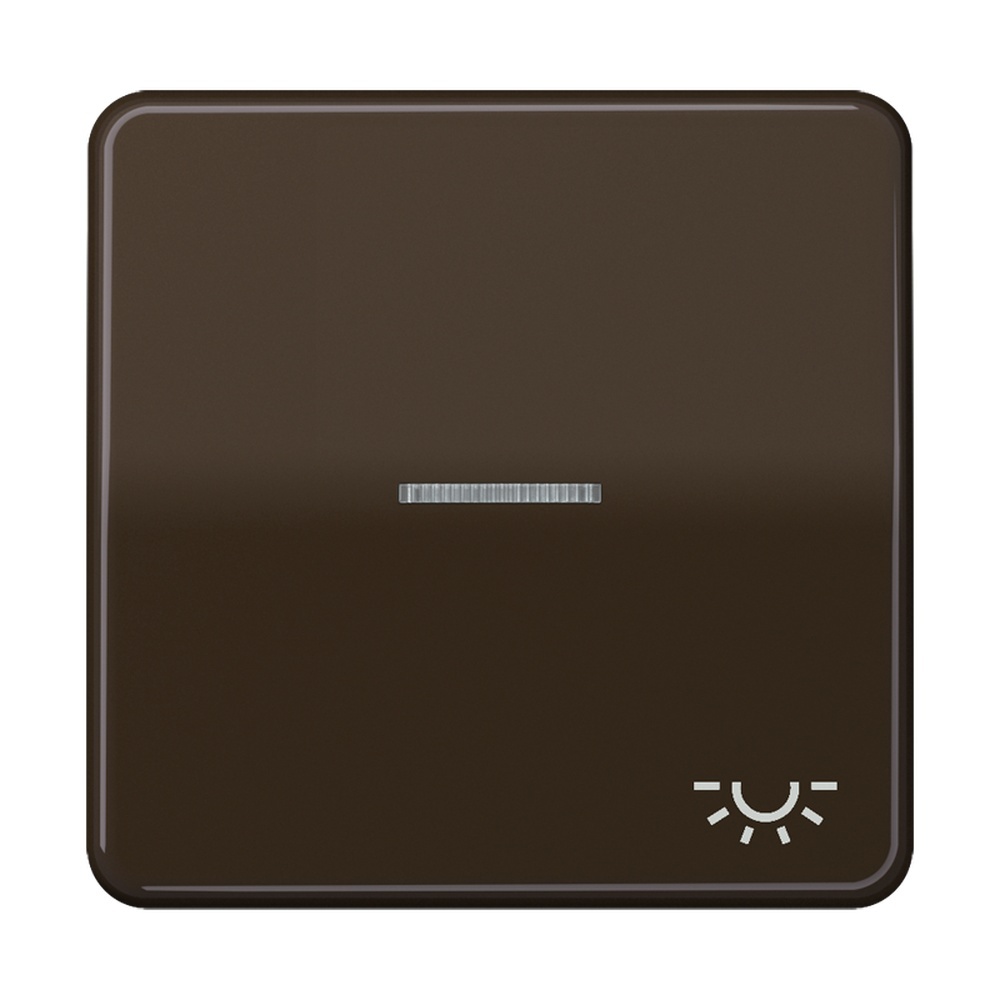 Jung Wippe CD 590 KO5L BR