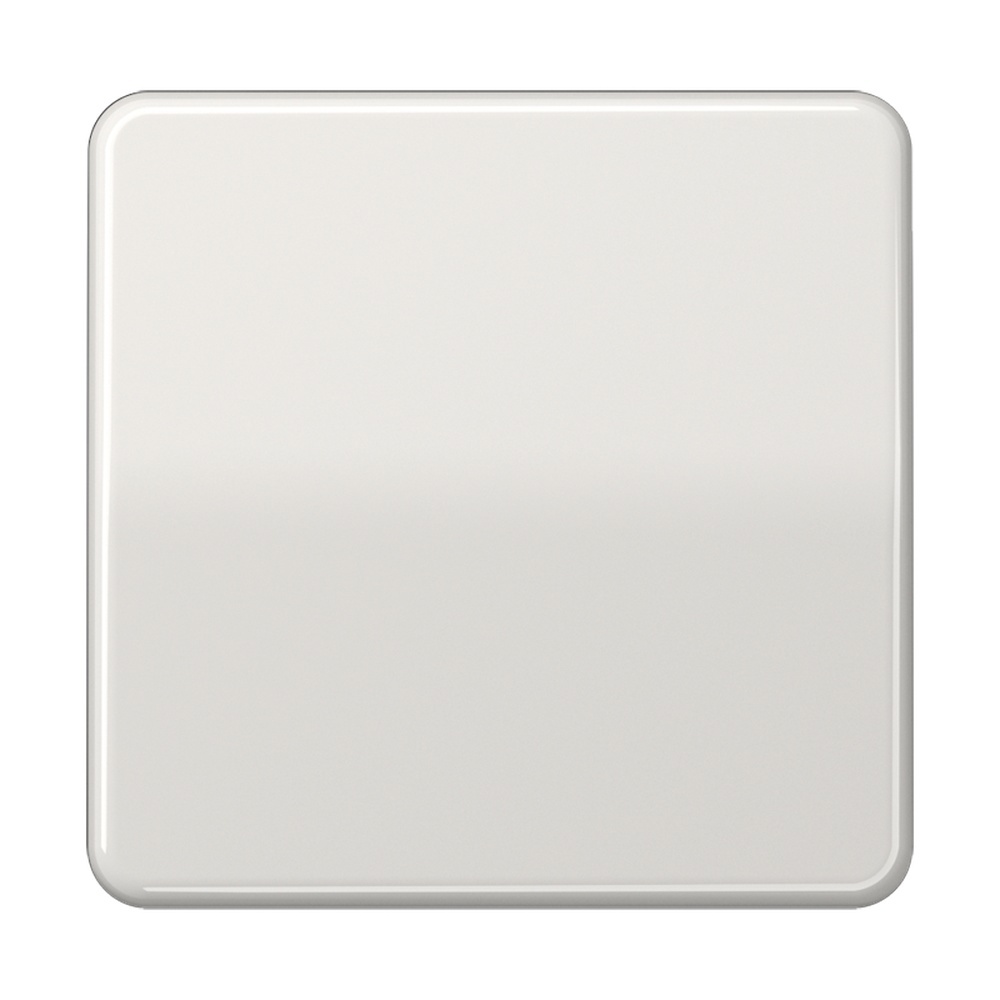 Jung Steuertaste CD1700LG