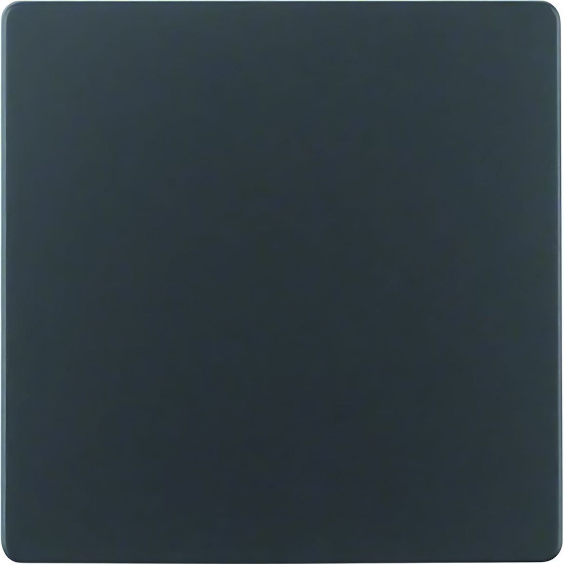 Berker Zentralplatte 75940485 Berker Zentralplatte 75940485