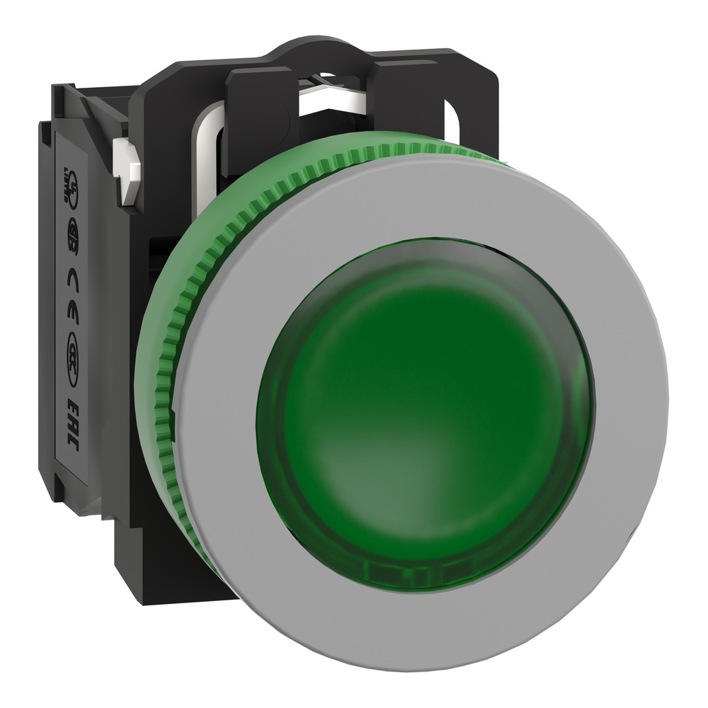 Schneider Electric Leuchtdrucktaster XB5FW33G5C0