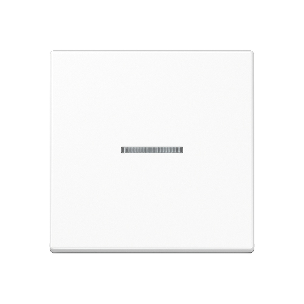 Jung KNX RF Taster 1fach A10911STRFWW