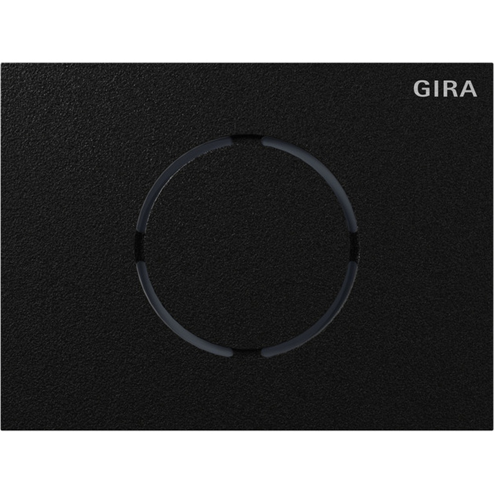 Gira Frontplatte 5579925