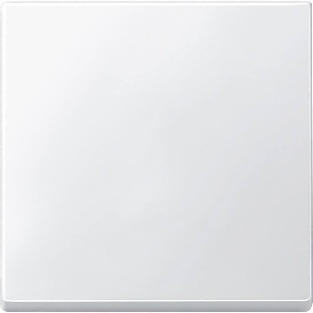 Merten Wippe 434119